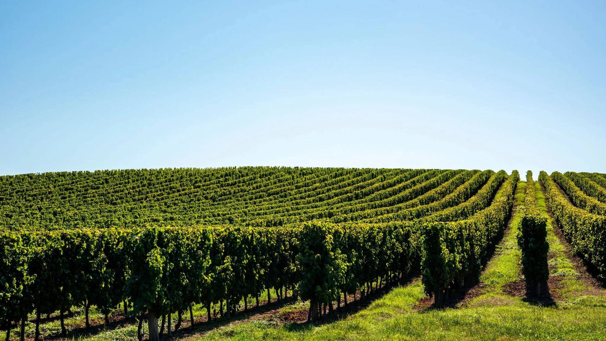 Best Wine Regions in the World