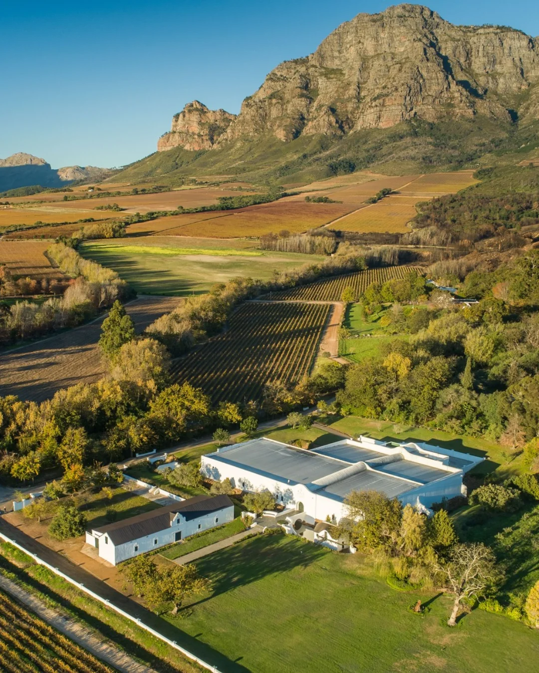 Outdoor Activities in the Cape Winelands