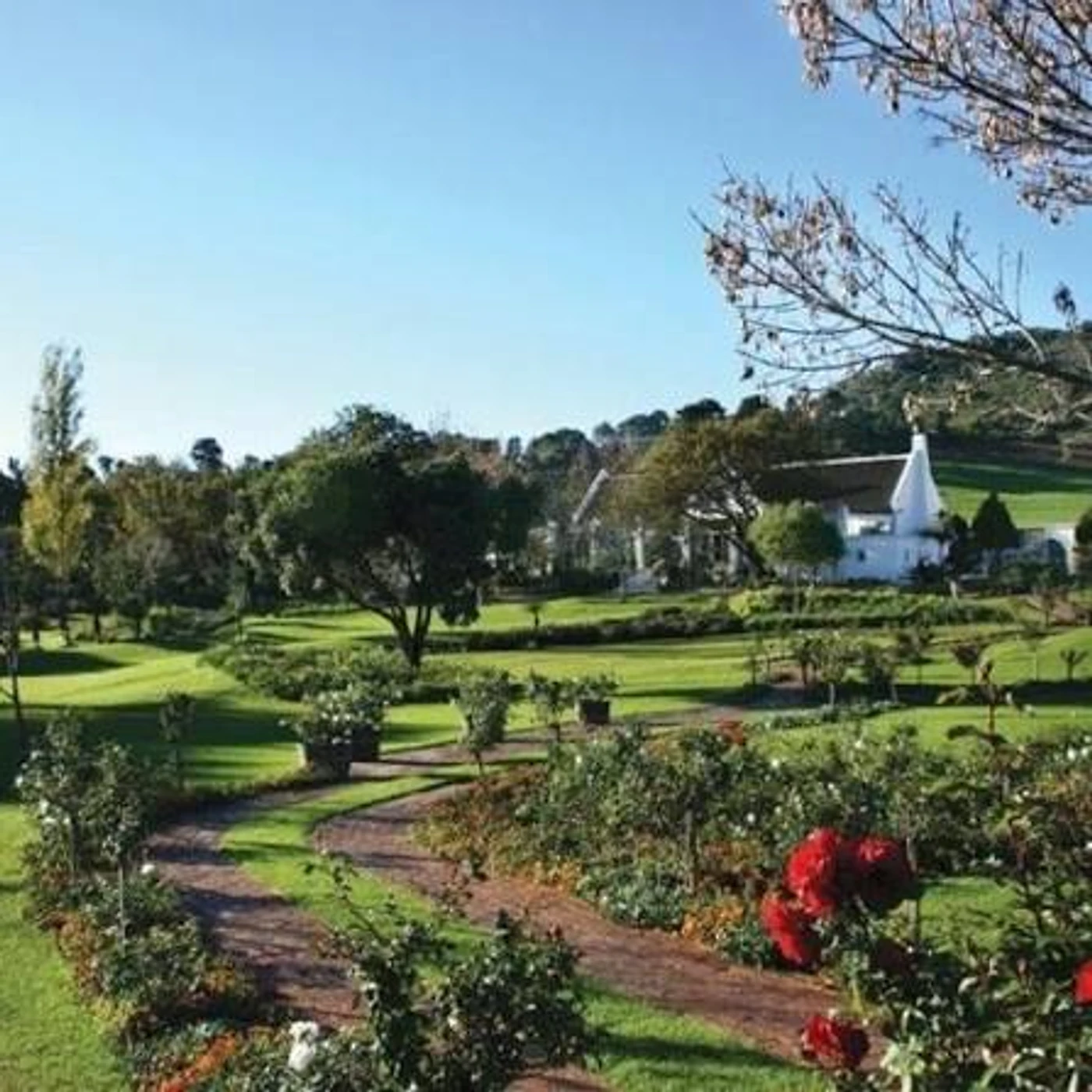 Rhebokskloof Wine Estate — Paarl wine estate, Western Cape