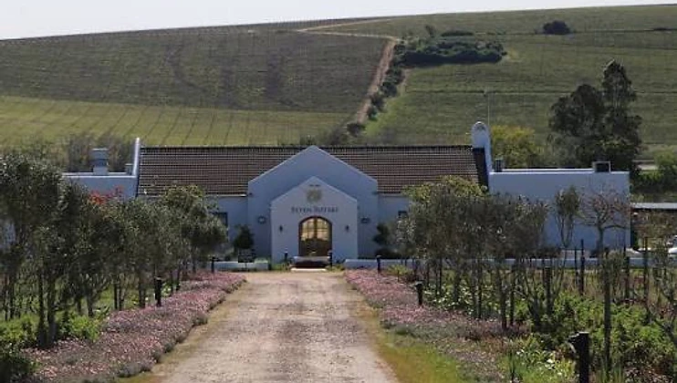 Seven Sisters Vineyards wine estate in Stellenbosch