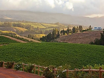 Oneiric Winery – Weingut in Elgin