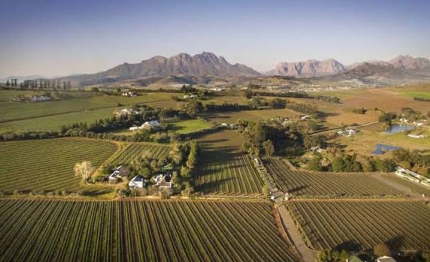 Le Grand Domaine — Stellenbosch wine estate, Western Cape