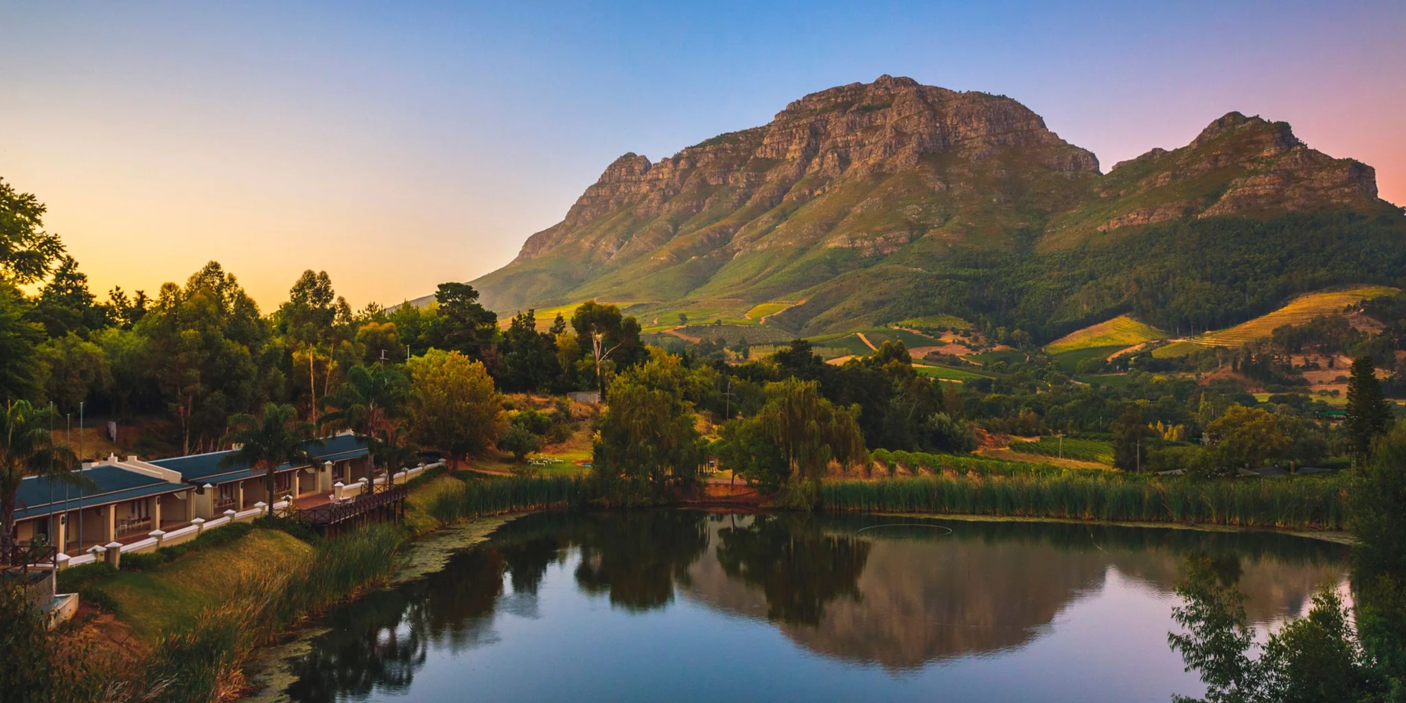 Cape Town Wine Tours