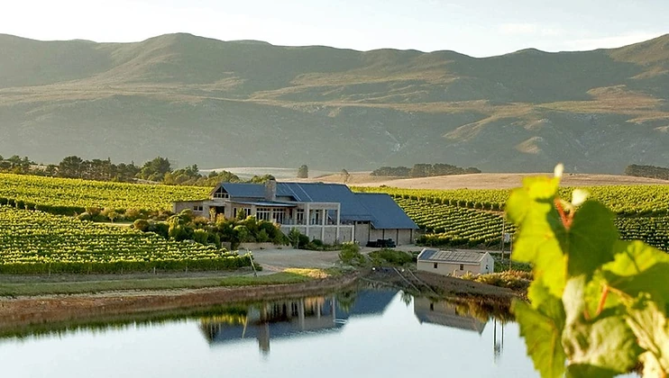 Creation Wines wine estate in Hemel-en-Aarde