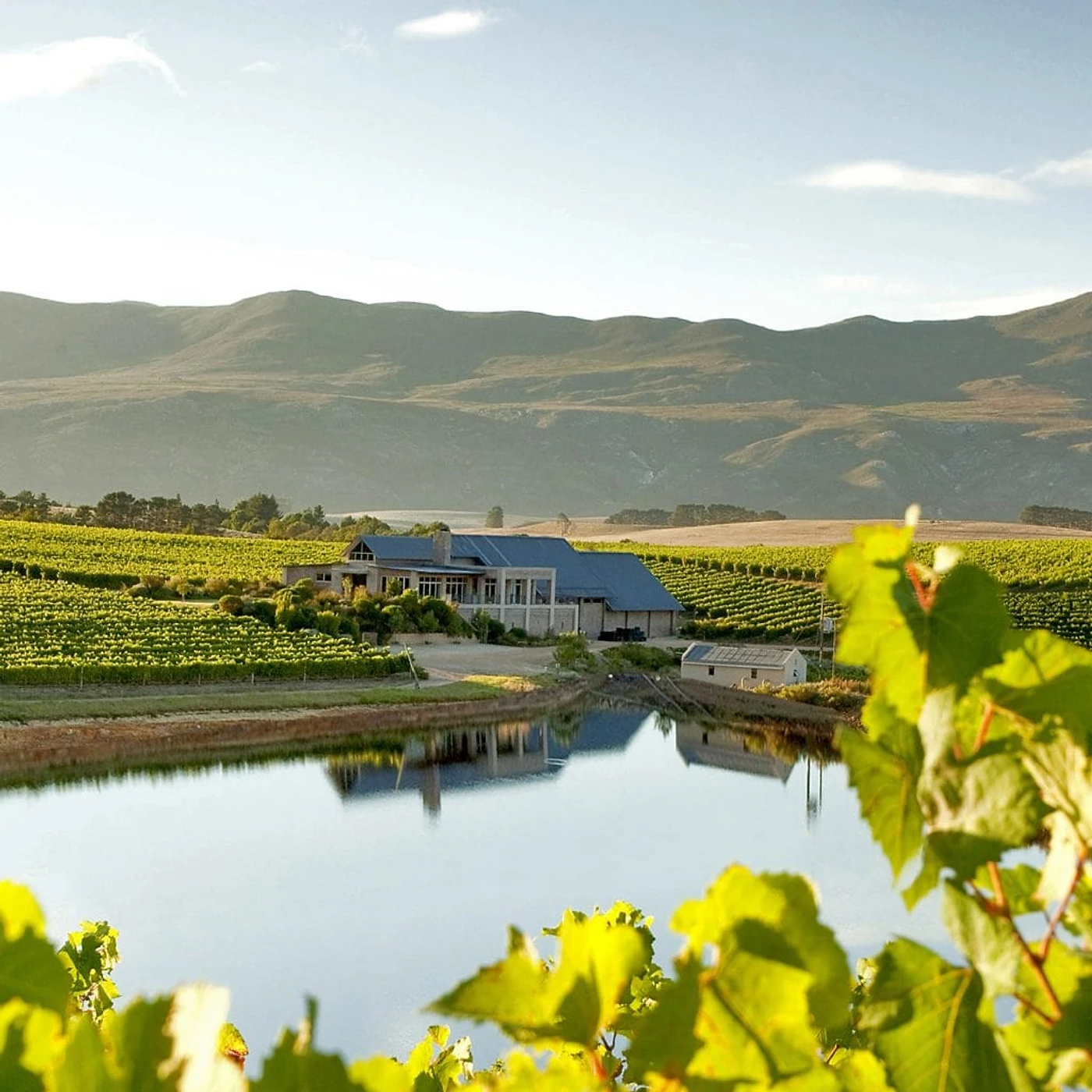 Creation Wines — Hemel-en-Aarde wine estate, Western Cape