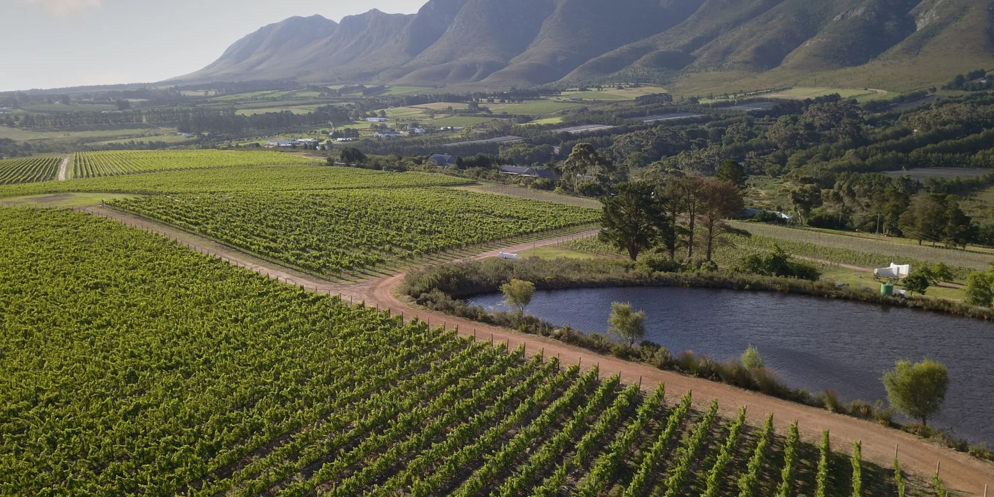Exploring the Stellenbosch Wine Route