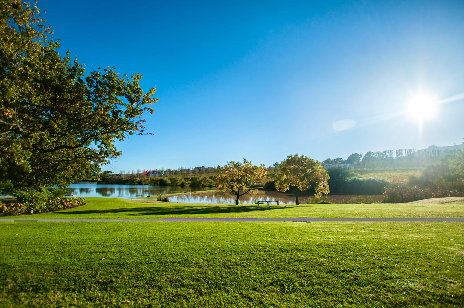 L'Avenir Wine Estate accommodation in Stellenbosch