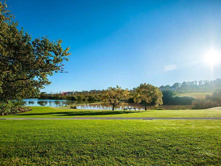 Accommodation at L'Avenir Wine Estate in Stellenbosch