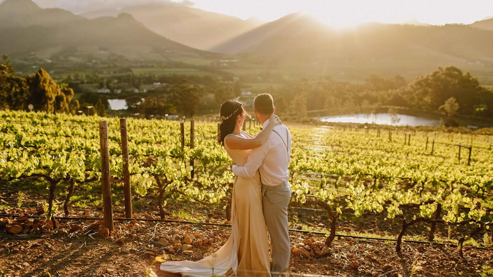 Romantic Guide to the Cape Winelands
