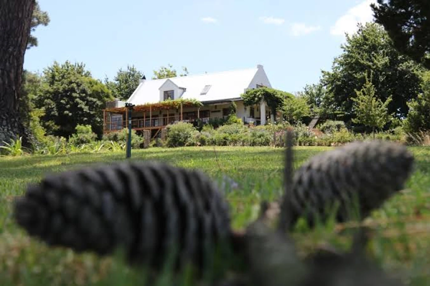 Shannon Vineyards — Elgin wine estate, Western Cape