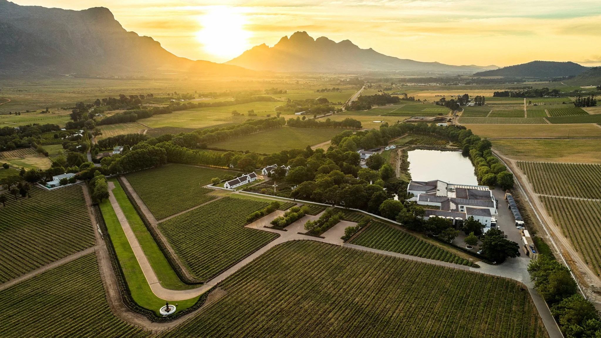 When is the Best Time to Visit the Cape Winelands? A Month-by-Month Guide