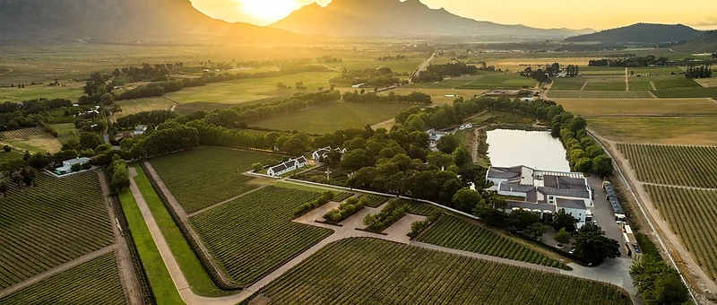 Wann ist die beste Reisezeit für die Cape Winelands? Ein Monat-für-Monat-Guide