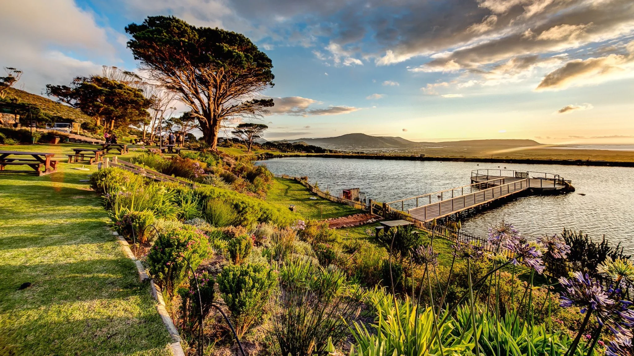 Cape Point Vineyards Festivities in the Cape Winelands