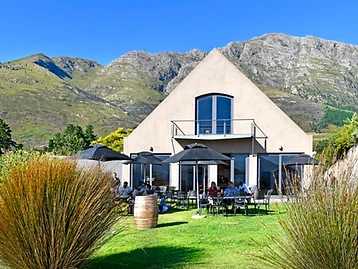 Dieu Donne Vineyards – Weingut in Franschhoek