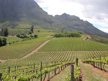 Vilafonté — Stellenbosch wine estate