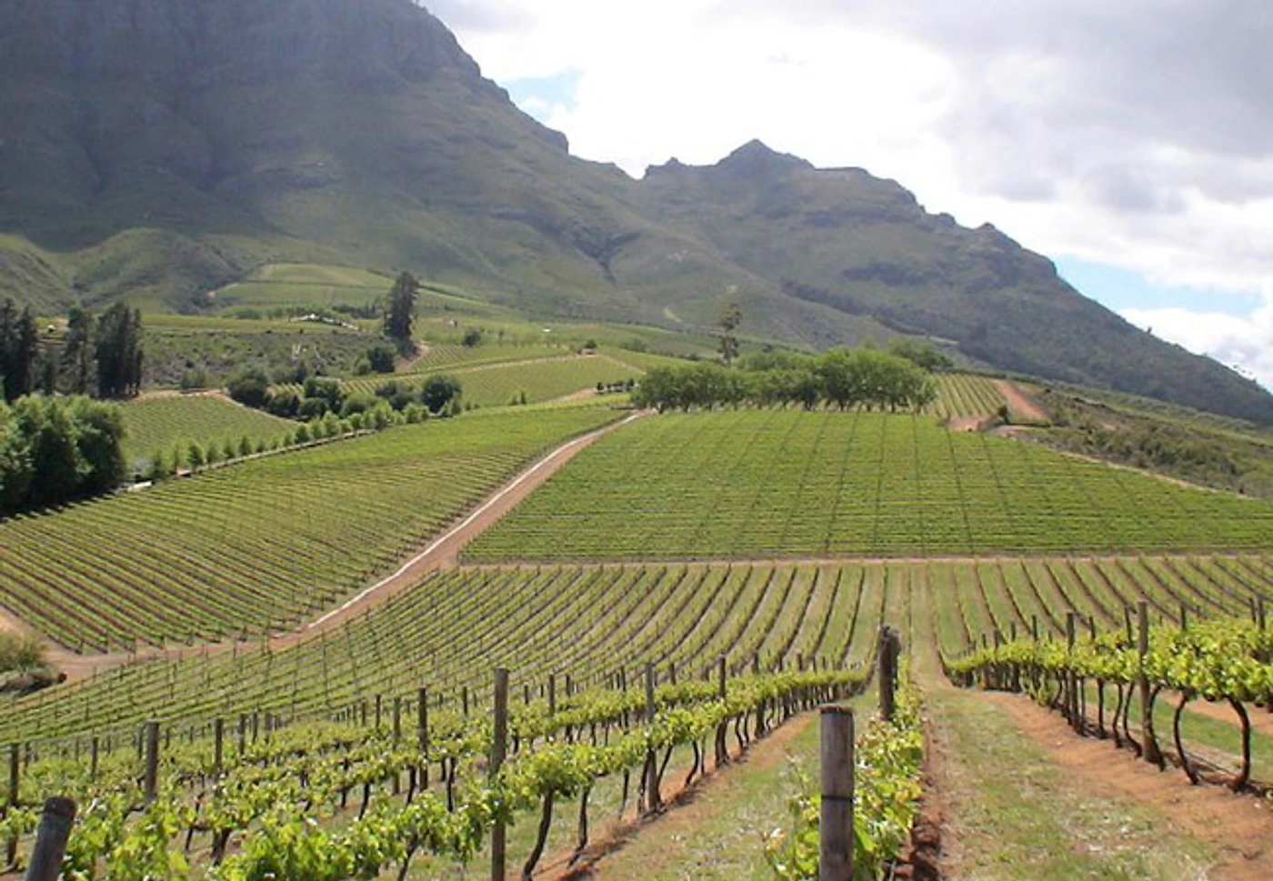 Vilafonté — Stellenbosch wine estate, Western Cape