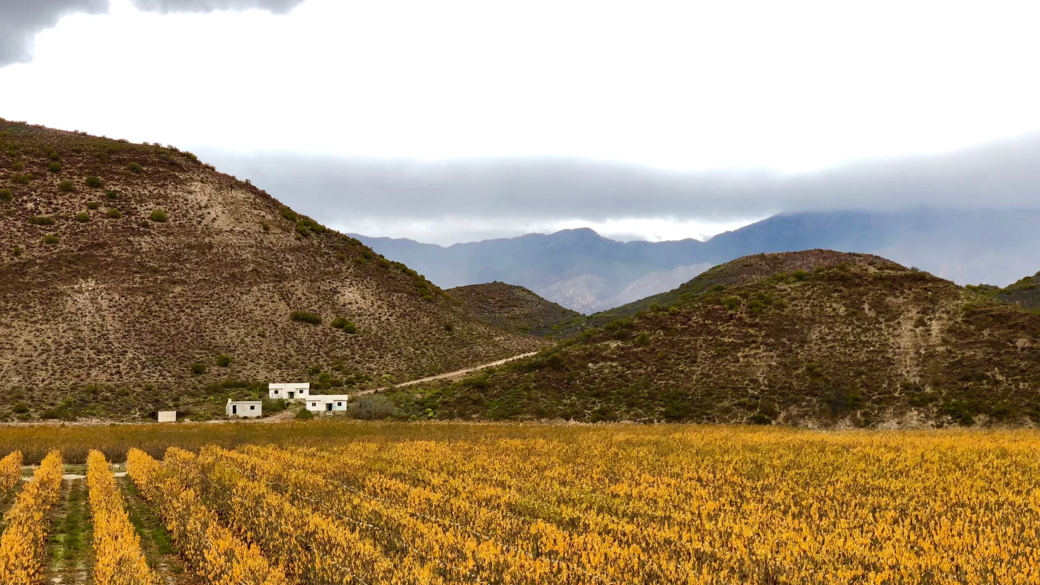 Cape Route 62 - Montagu