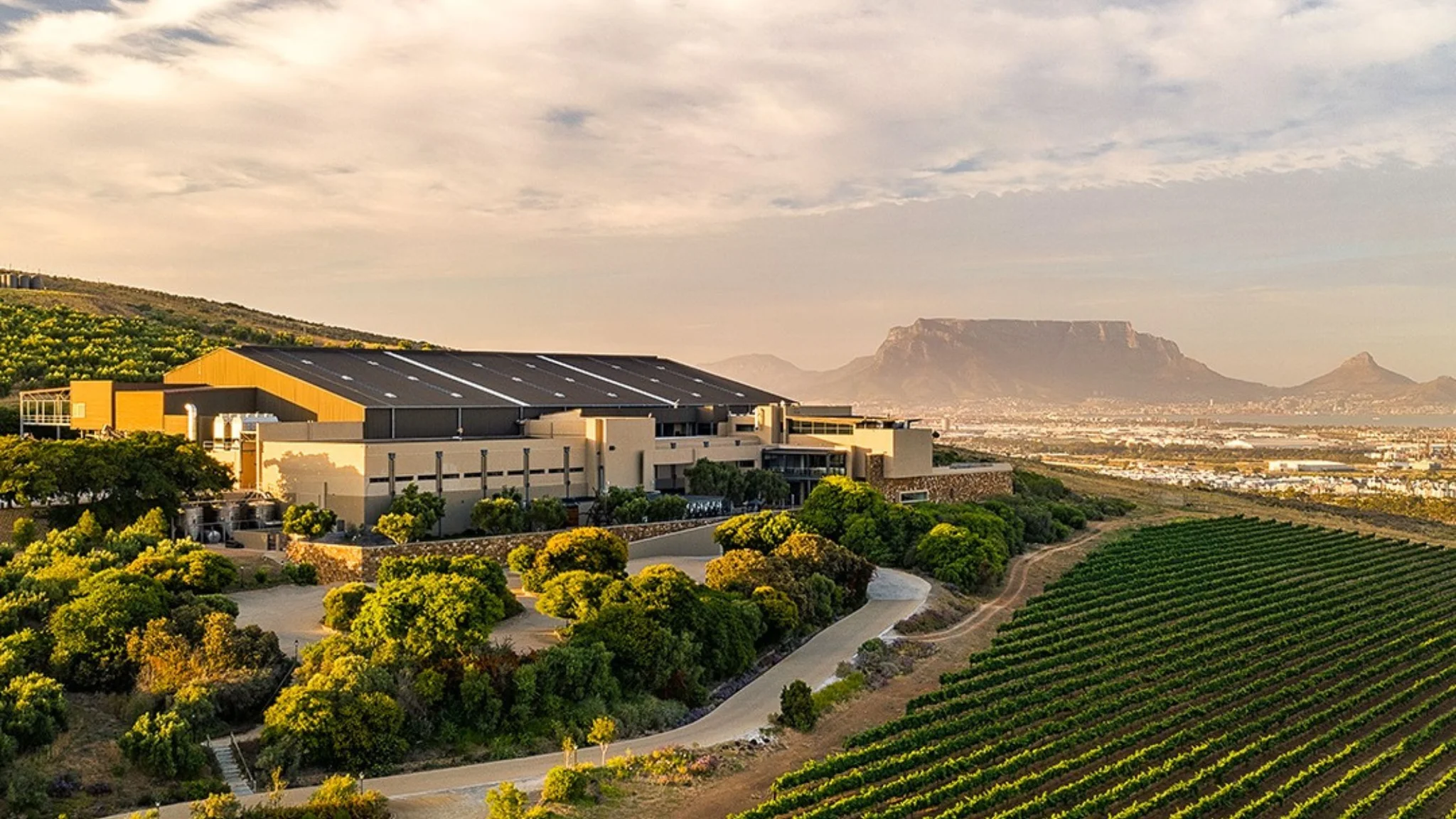 The Best Durbanville Wine Estates for Unforgettable Experiences