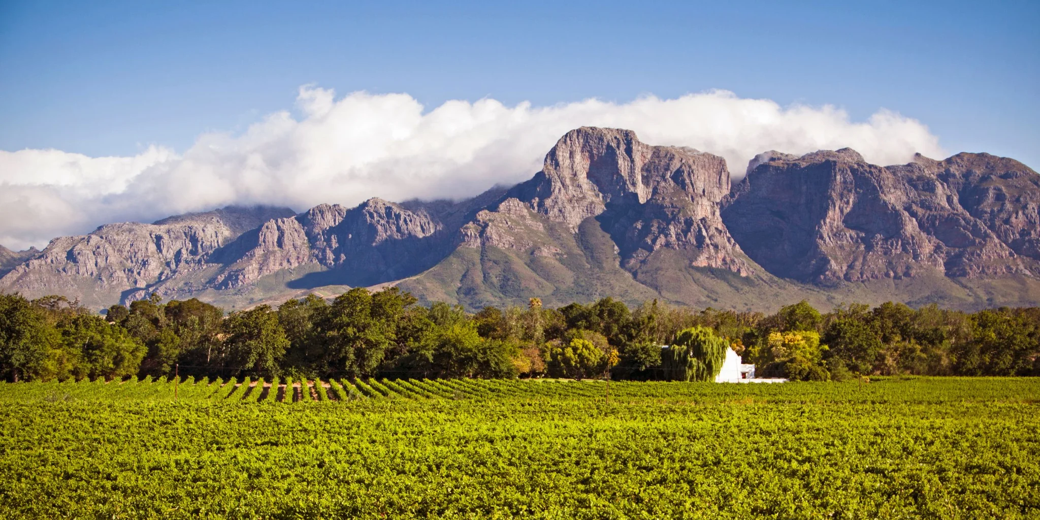 Your Wine Tasting Experience in Stellenbosch