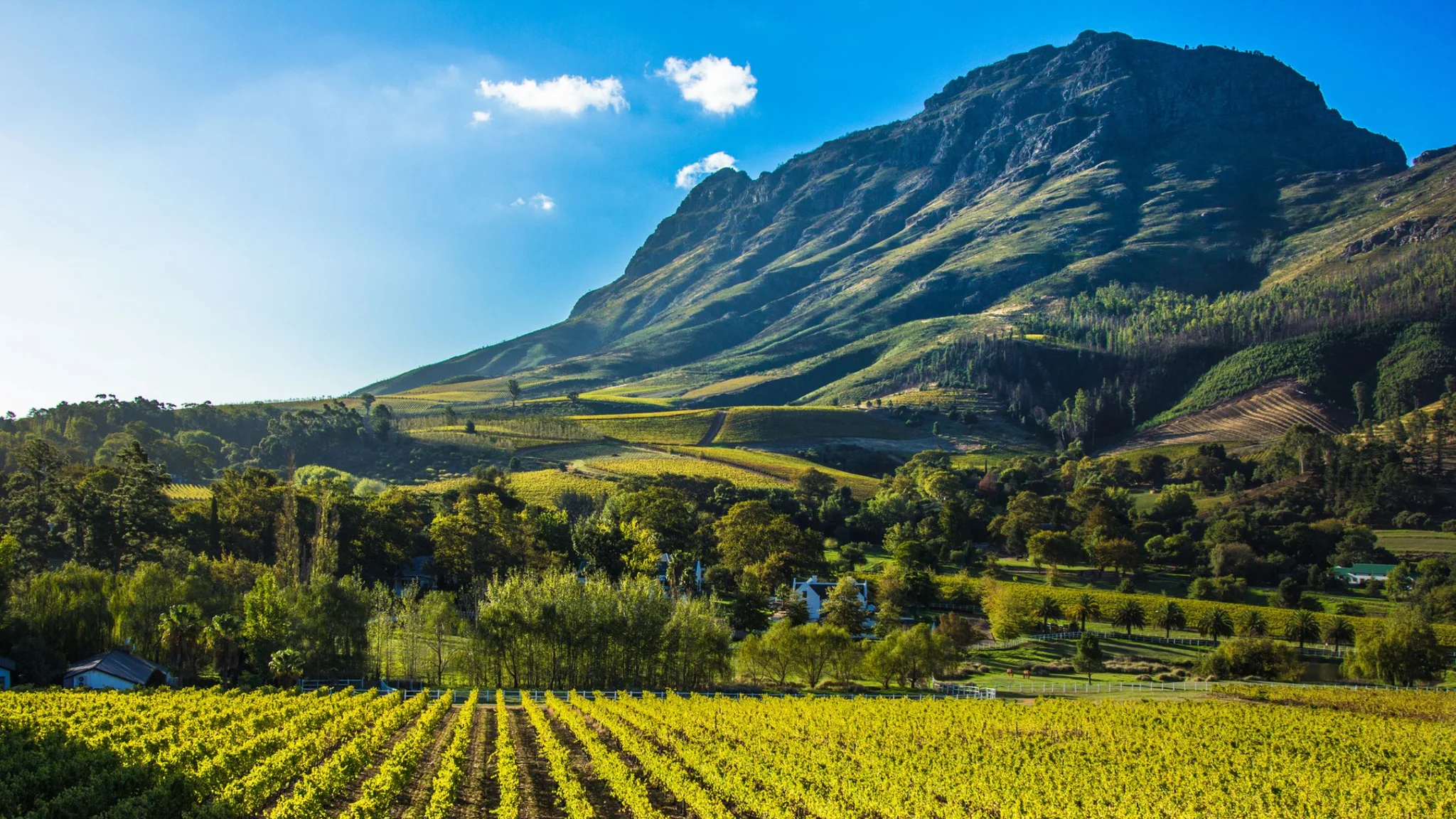 Art and Wine: Visiting Wine Estates with Art Galleries