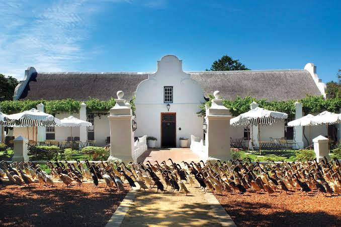 Vergenoegd Löw Wine Estate wine estate in Stellenbosch