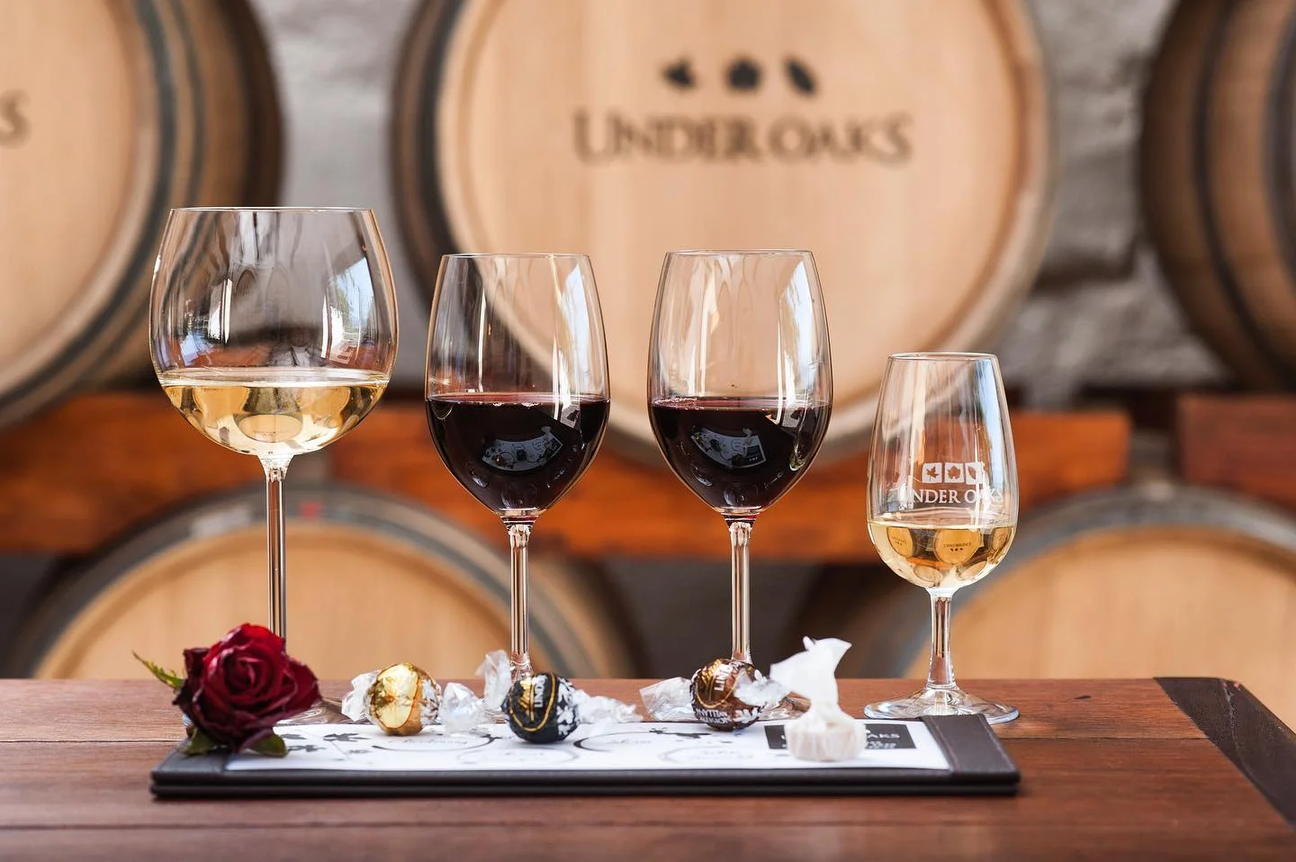 Wine Tours in Paarl Under Oaks Estate