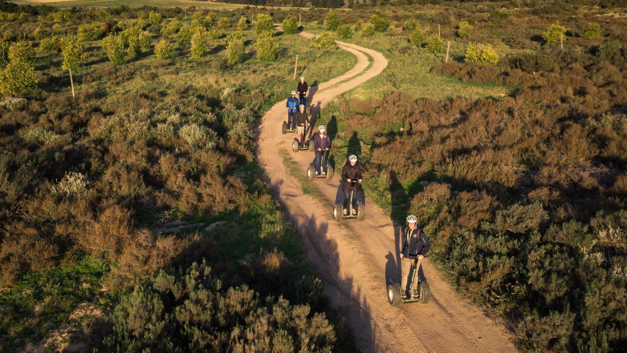 Top Outdoor Activities in the Cape Winelands