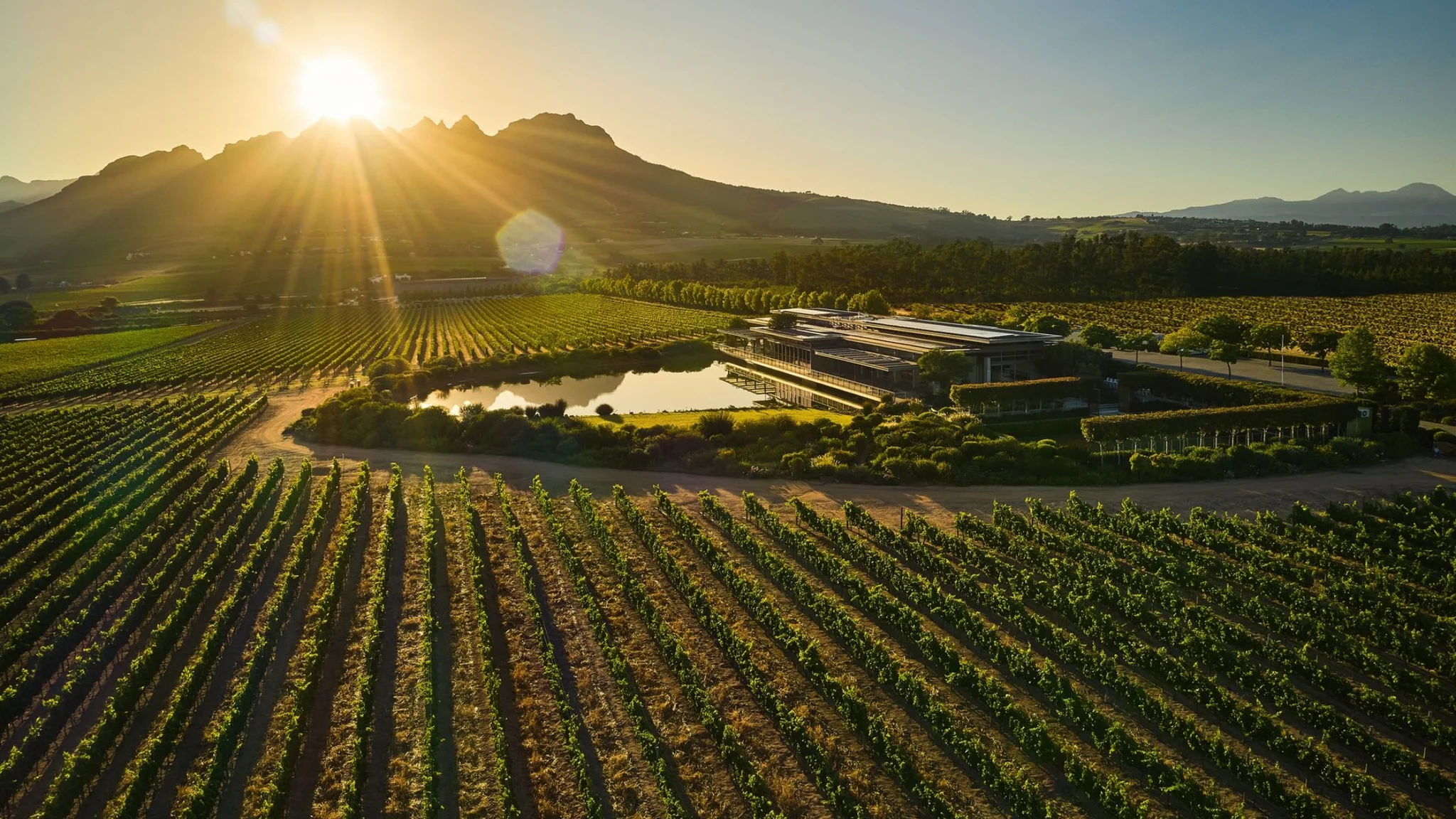 Cape Winelands 2025: Europe’s Best Wine Holiday Destination Revealed