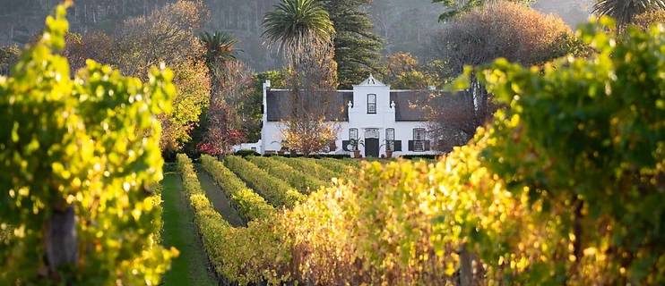 Cape Point Vineyards conference venue in Cape Peninsula