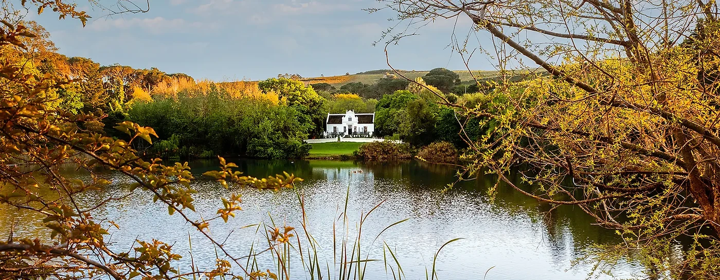 Zevenwacht Wine Estate — Stellenbosch wine estate, Western Cape