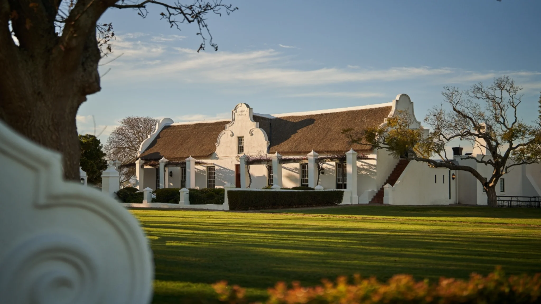 Visit Vergenoegd Löw: Where Heritage, Wine & Ducks Steal the Show