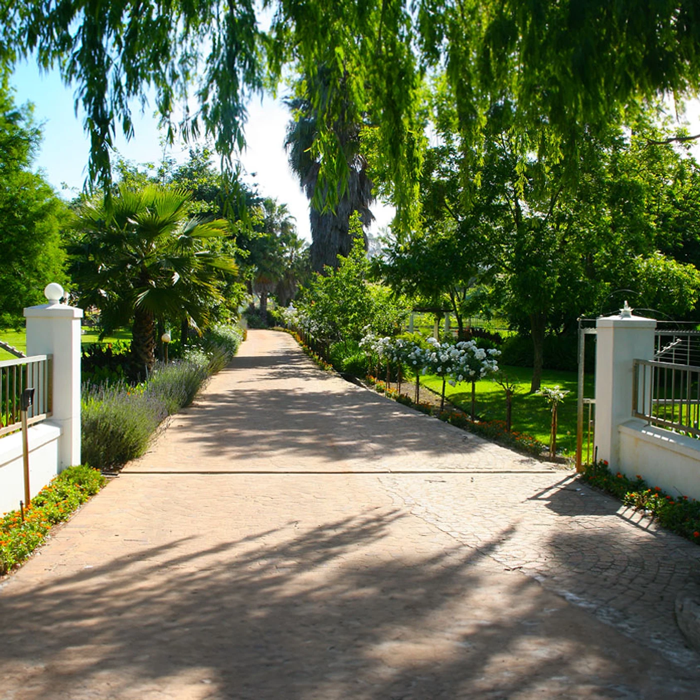 Groenland Wines — Stellenbosch wine estate, Western Cape