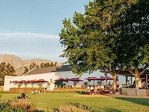 Alto Wine Estate