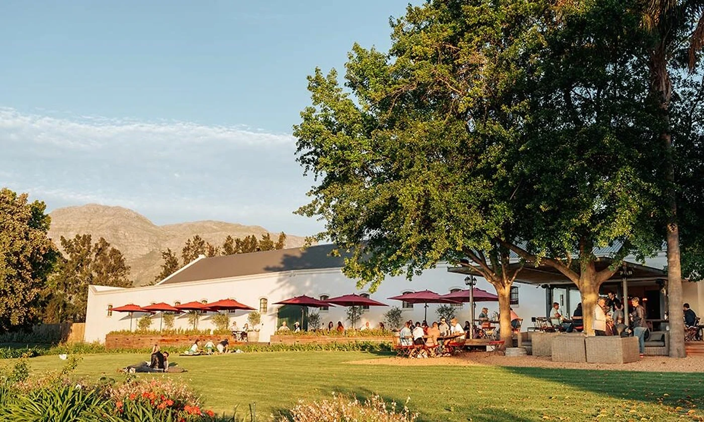 Alto Wine Estate — Stellenbosch wine estate, Western Cape