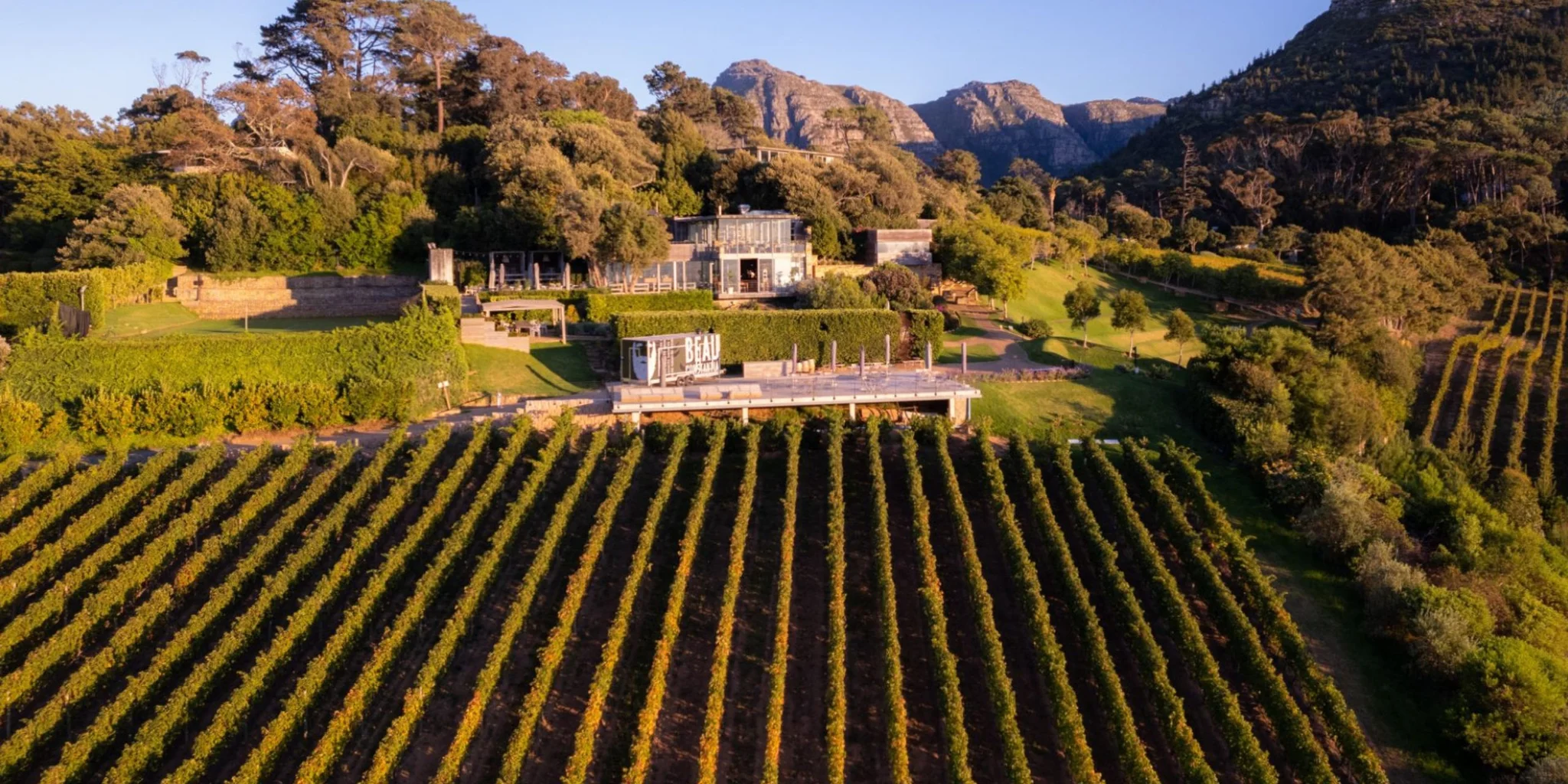 Beau Constantia