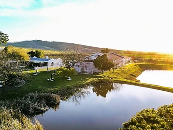 L'Avenir Wine Estate – Weingut in Stellenbosch
