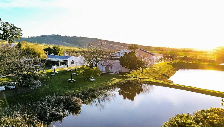 L'Avenir Wine Estate wine estate in Stellenbosch
