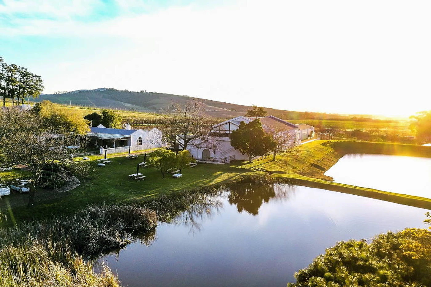 L'Avenir Wine Estate — Stellenbosch wine estate, Western Cape