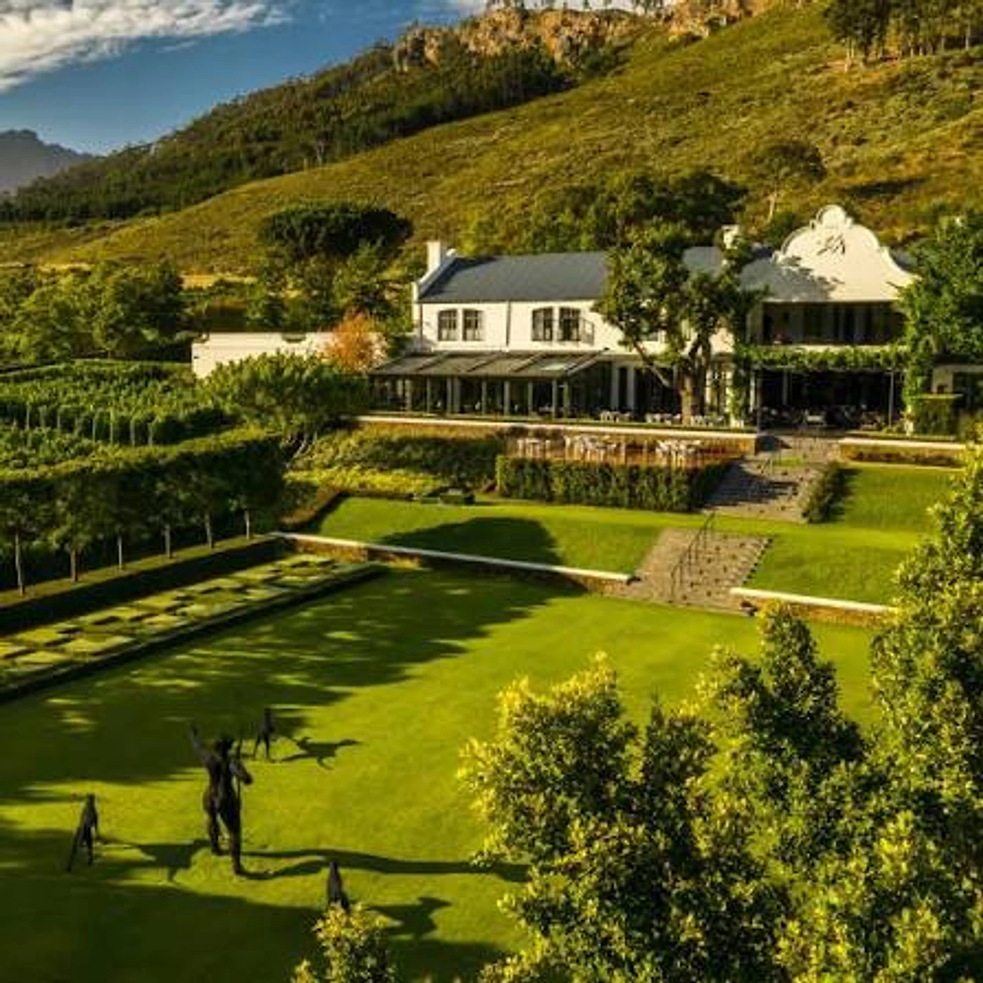 Leeu Estates — Franschhoek wine estate, Western Cape