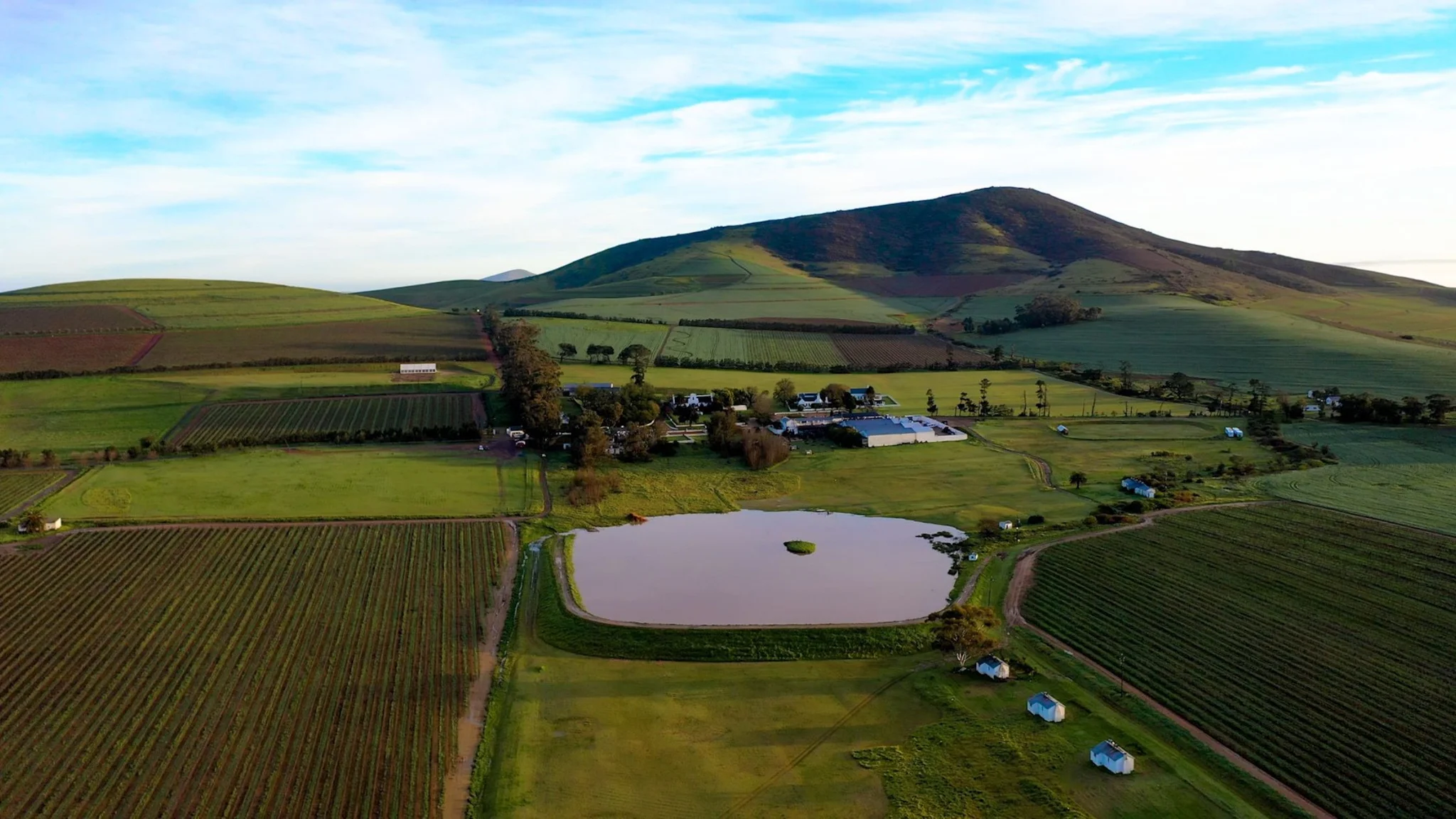 best Durbanville wine estates