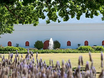 Deetlefs Estate — Breede River Valley wine estate
