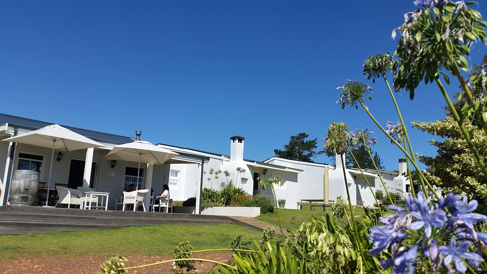 Paul Wallace Wines accommodation in Western Cape