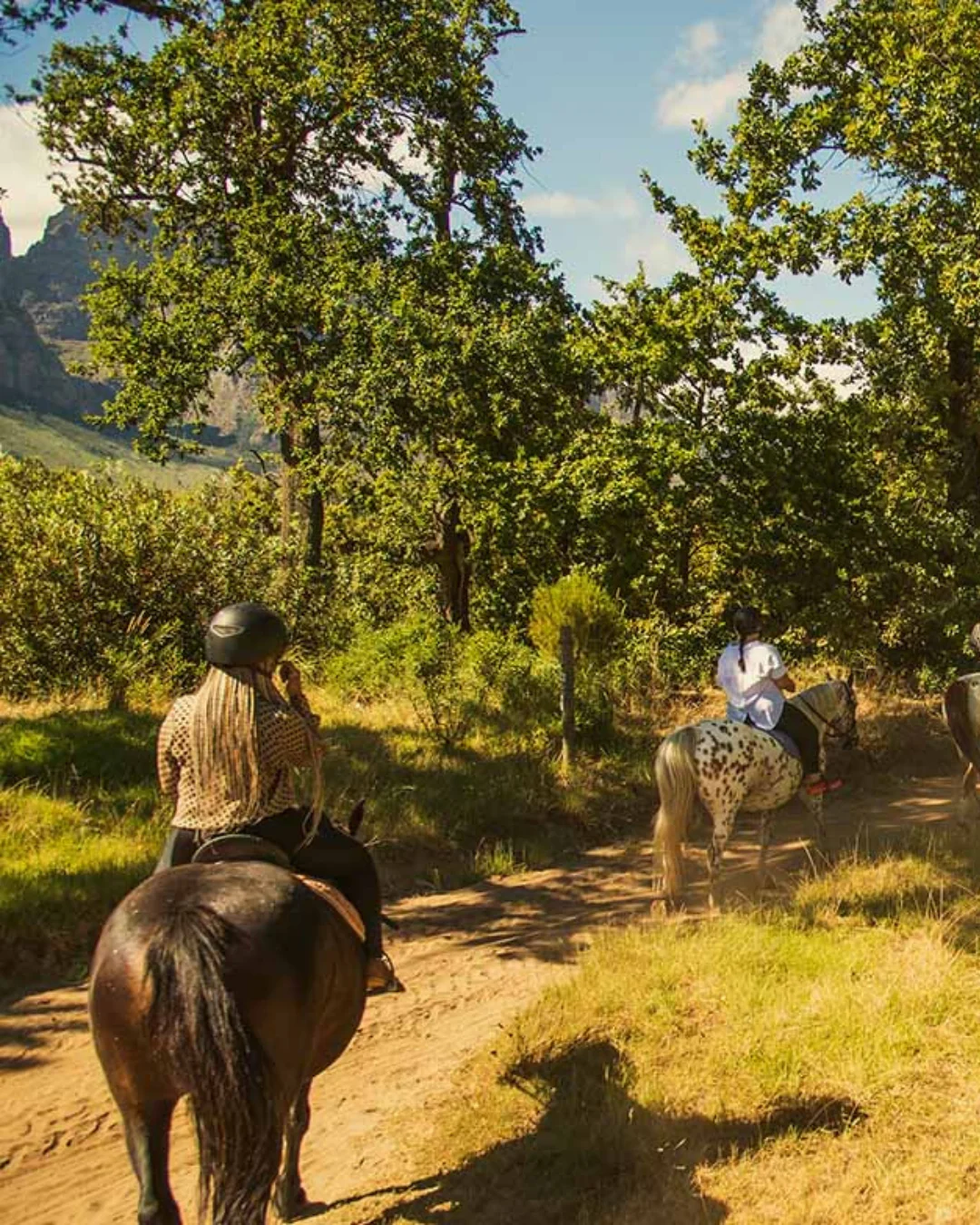 Boschendal Horse Riding in Franschhoek