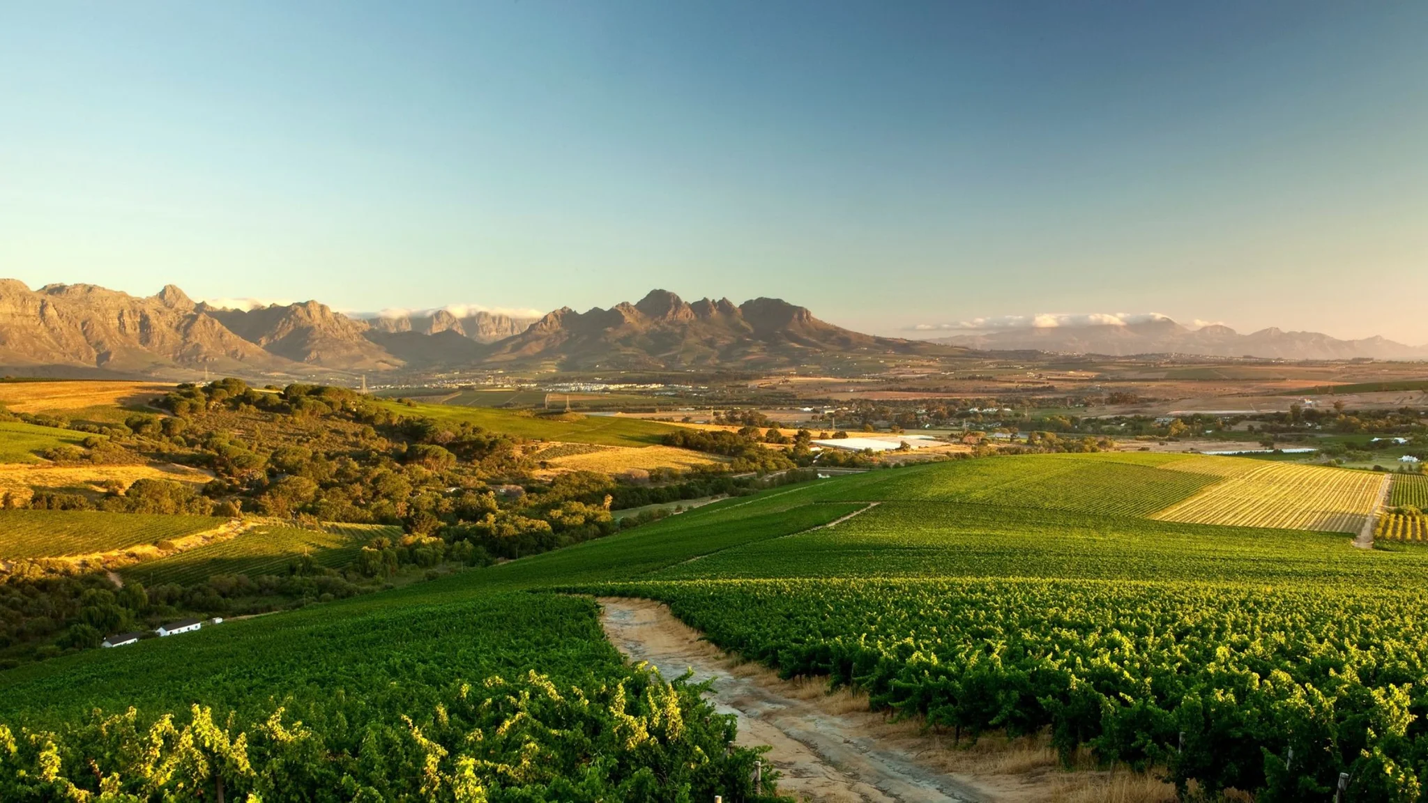 Stellenbosch Hills