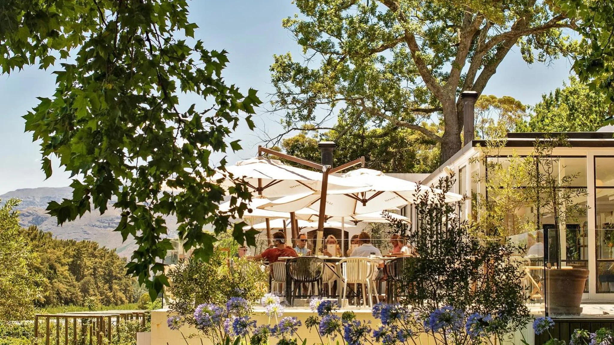 Family Fun at Boschendal Wine Estate