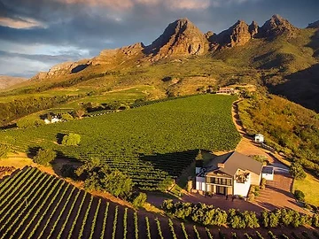 Uva Mira Mountain Vineyards