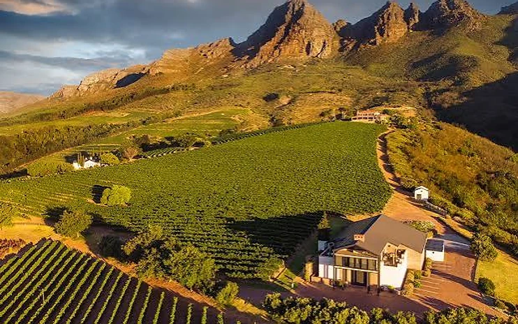Uva Mira Mountain Vineyards
