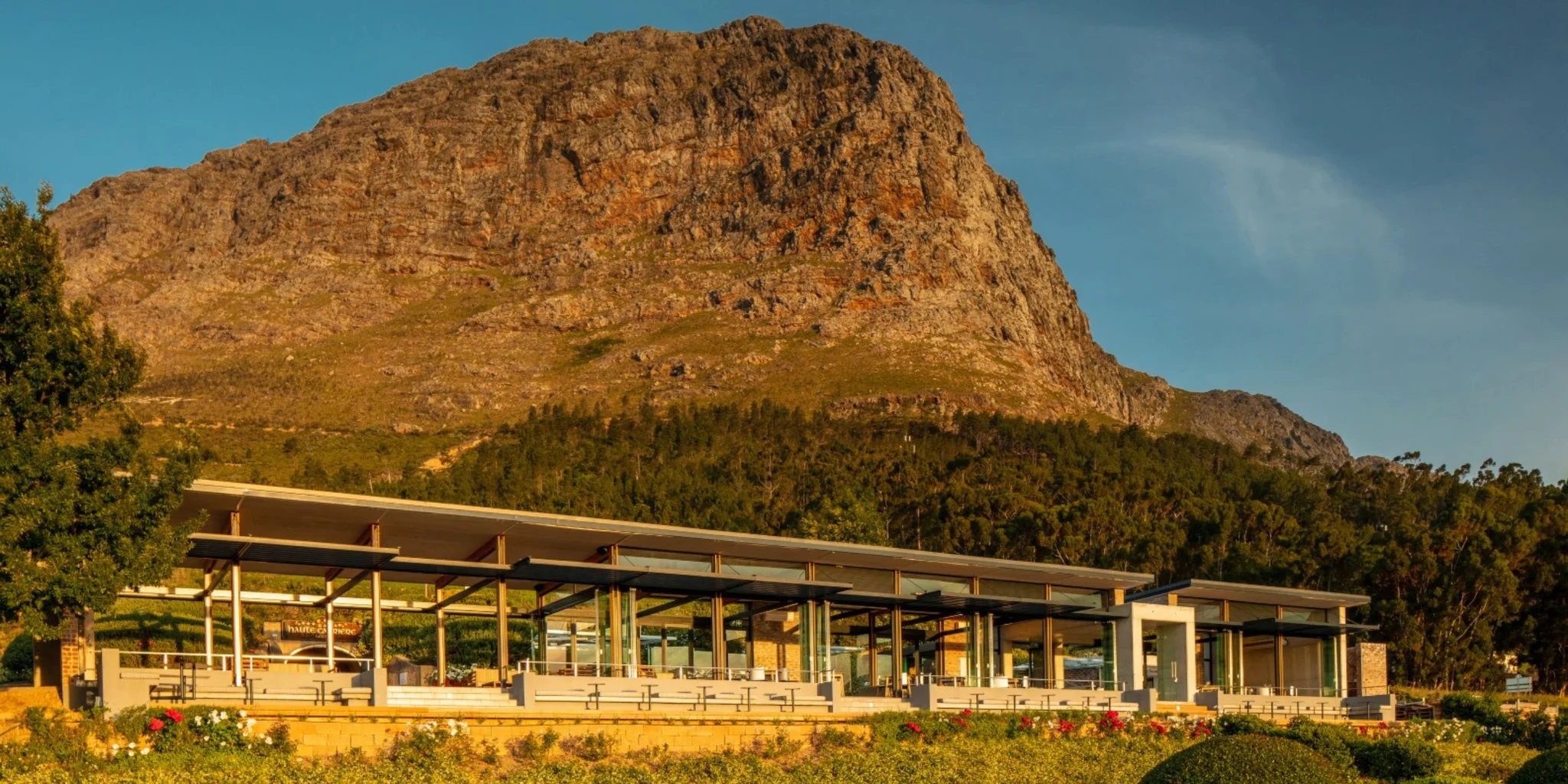 Top Wine Farms in Franschhoek