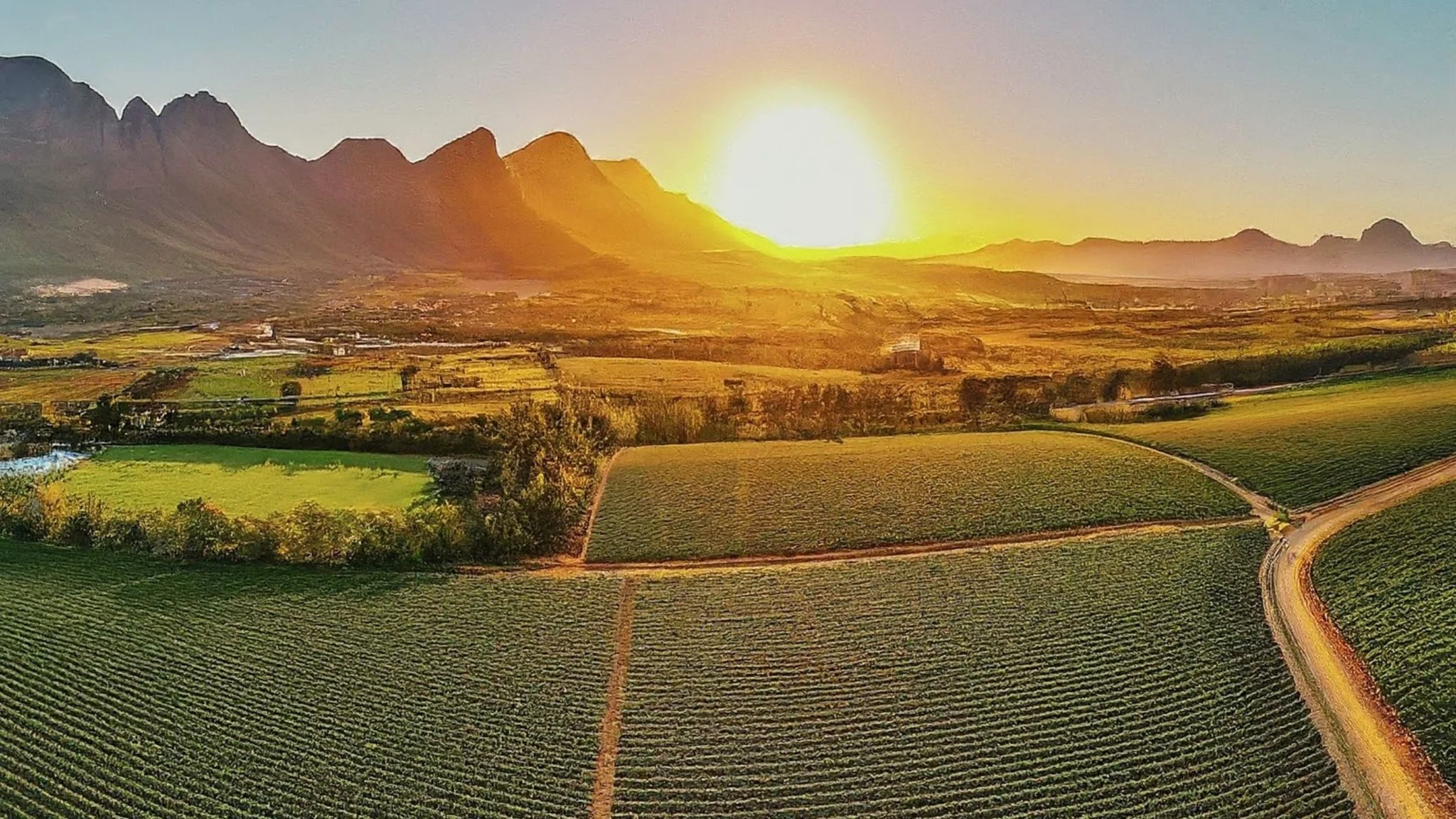 Top 10 Cape Winelands Restaurants