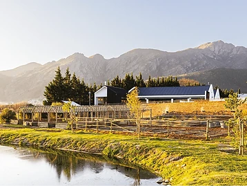 Backsberg Family Wines – Weingut in Franschhoek